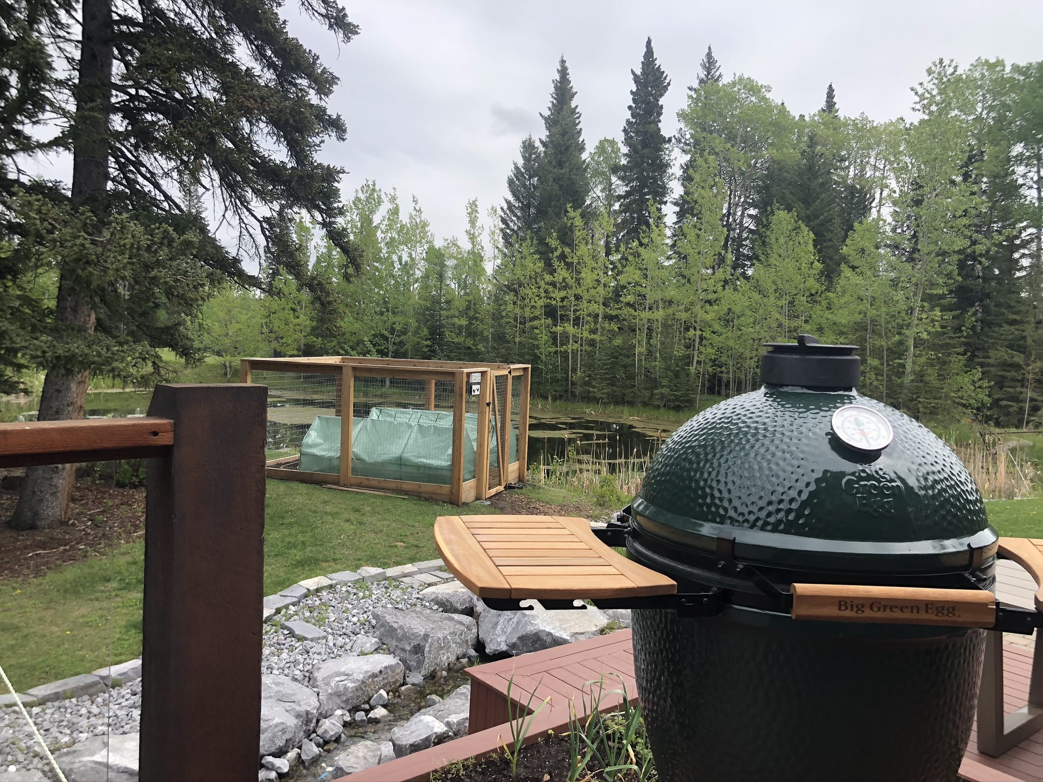 Big Green Egg Large Original Kit - Image 21