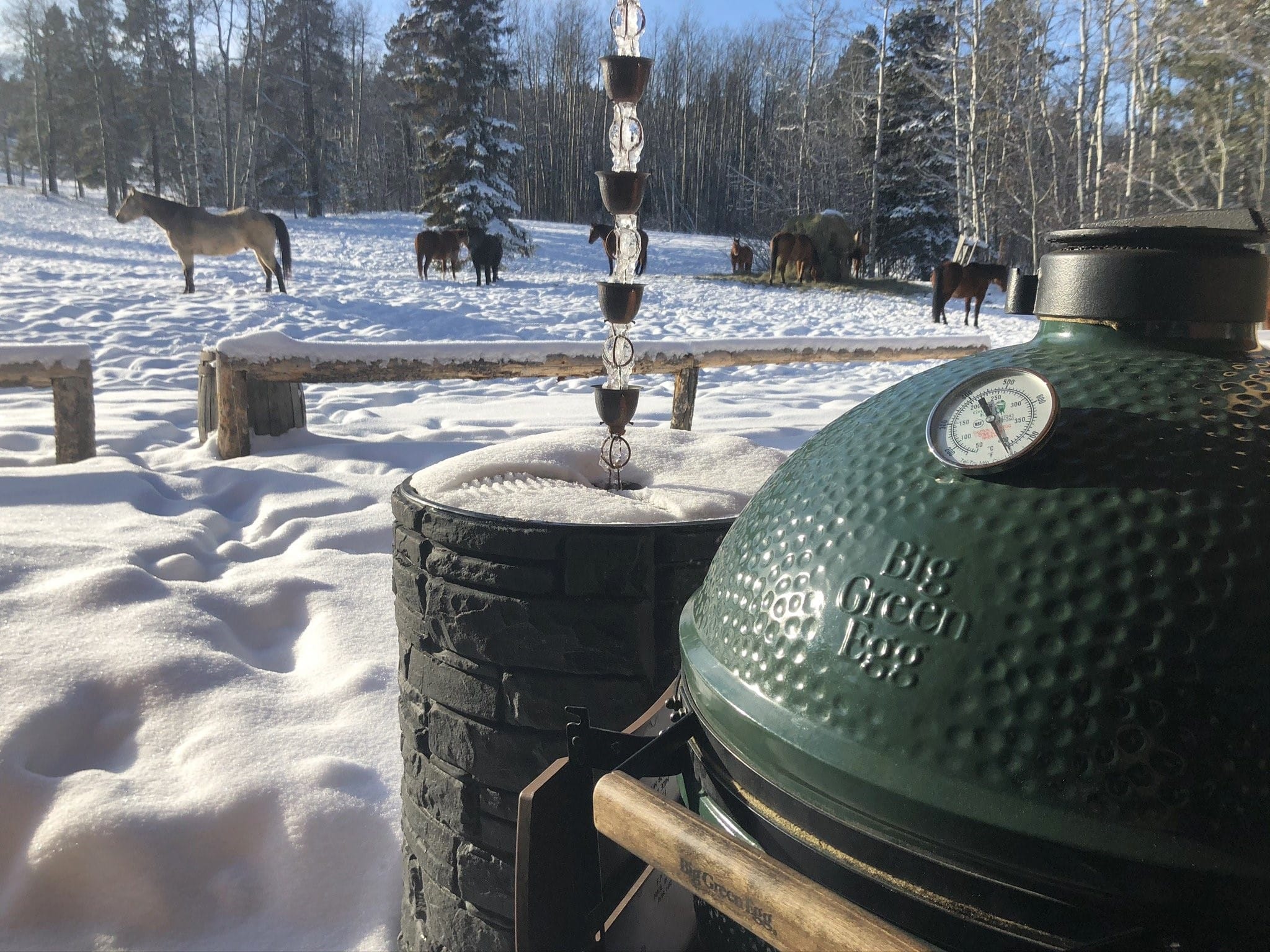 Big Green Egg Large Ultimate Kit - Image 9