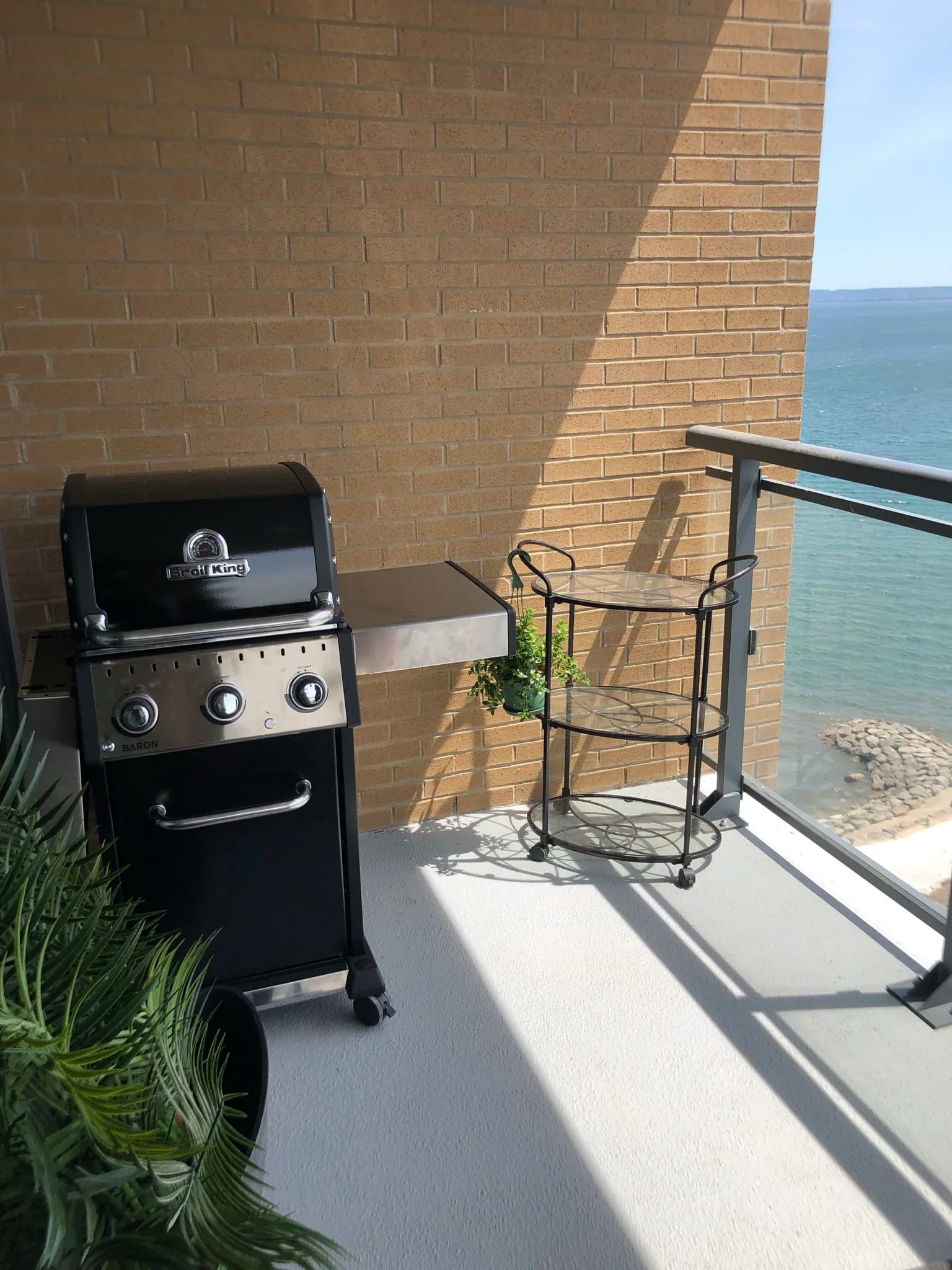 Broil King Baron 320 PRO - Image 12