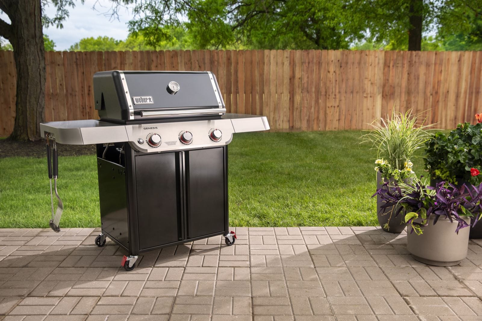 Weber Genesis E-315 Black - Image 12