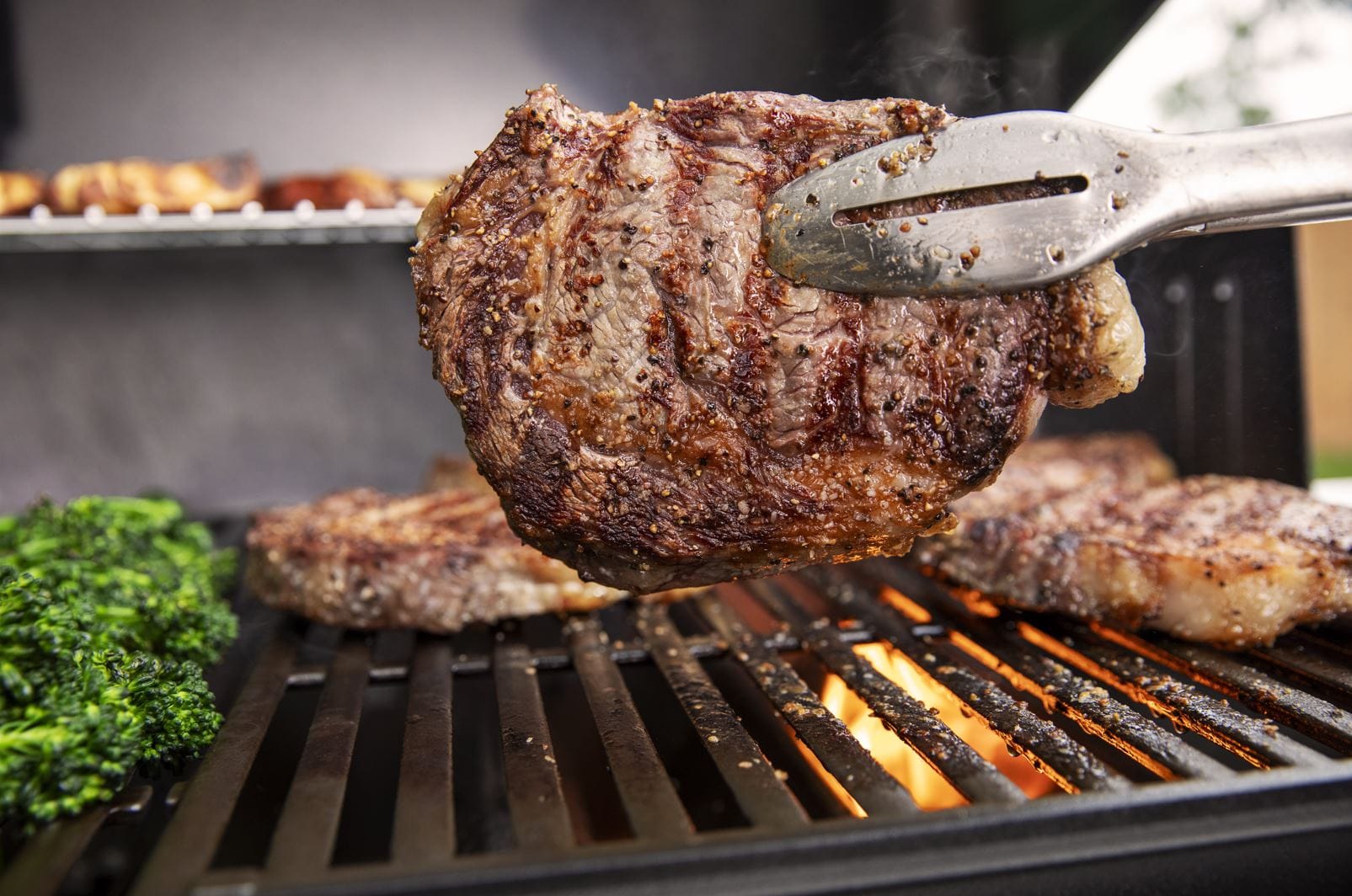 Weber Genesis E-315 Black - Image 9
