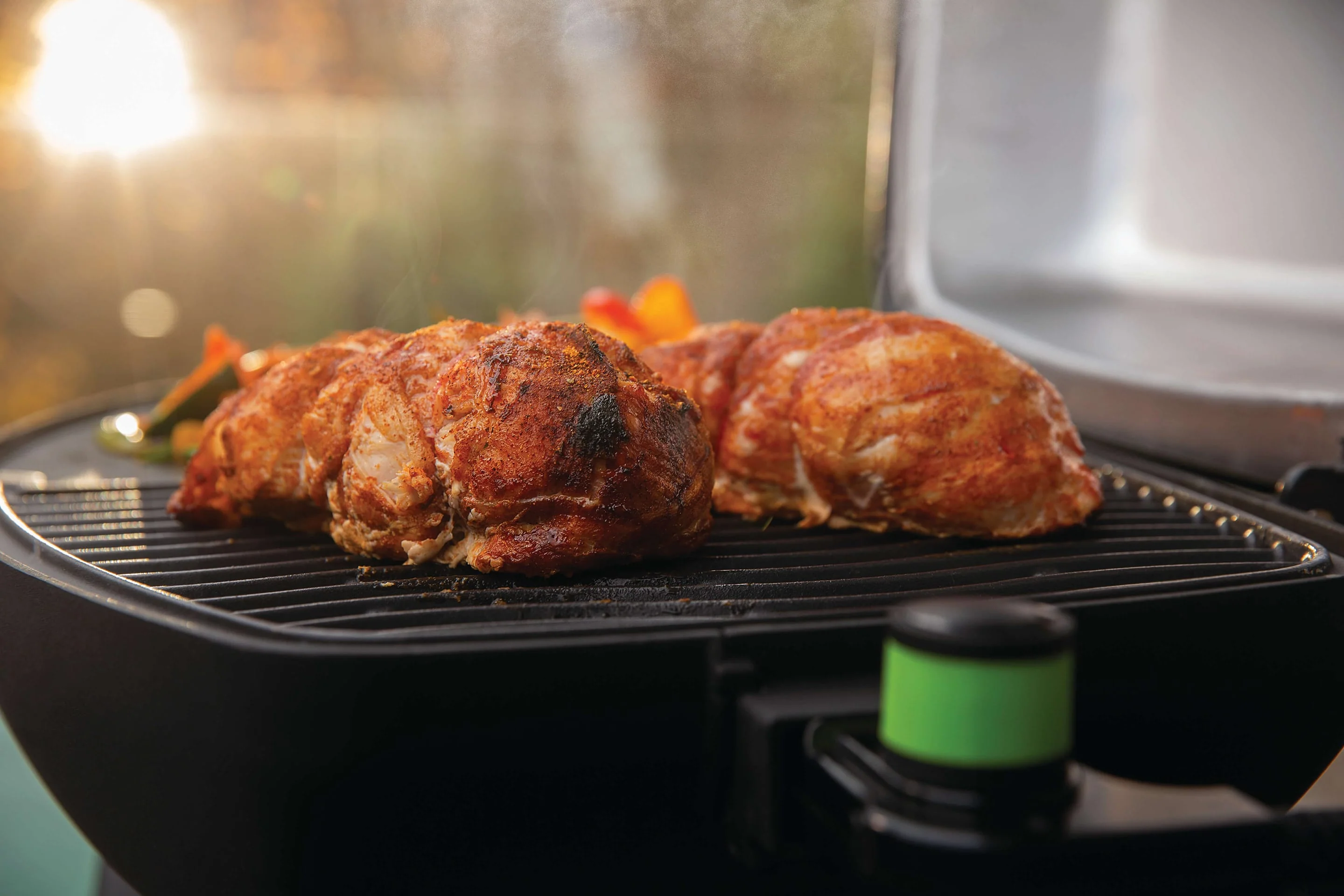 Napoleon PRO285 Portable Grill (Electric) - Image 3