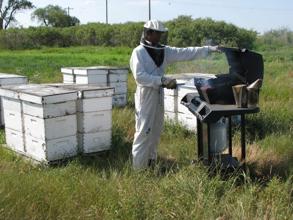 SCANDIA FIELDS HONEY - Image 3