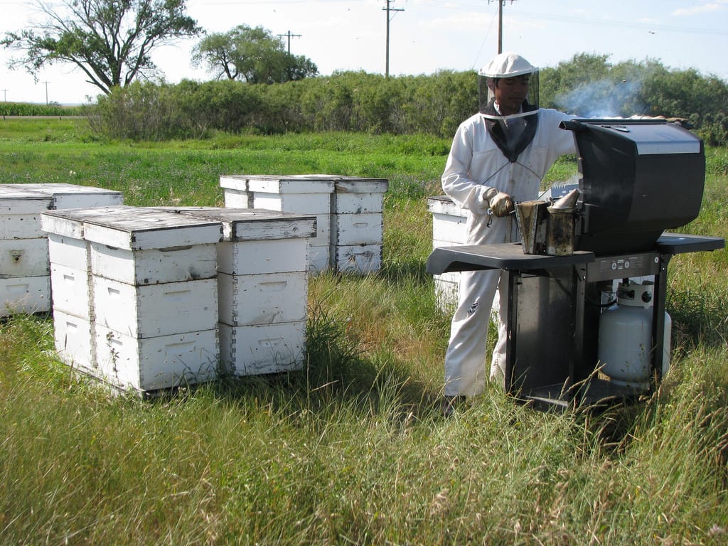 SCANDIA FIELDS HONEY - Image 5